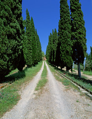 Toscana