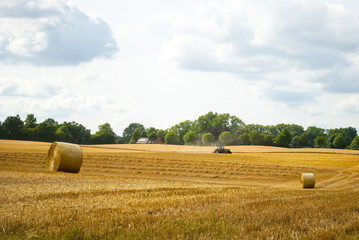 Ernte mit Strohballen auf dem Feld in Schleswig-Holstein, Deutschland 