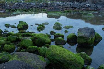 Fototapeta na wymiar Green rocks in the ocean at low tide