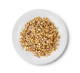 coriander seeds in plate on white background