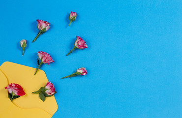 Yellow envelope and rose flowers on blue background, top view
