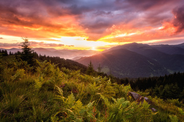 Amazing colors of sunrise over the mountains, nature summer landscape with mountain range and green...