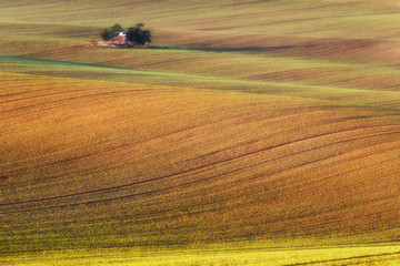 South Moravian fields, Czech Republic fields, moravia hills, czech landscape, moravian landscape