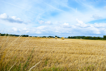 Erntezeit mit Strohballen auf dem Feld in Schleswig-Holstein, Deutschland