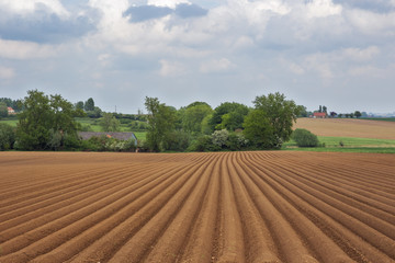 Freshly sowed field on a hillside