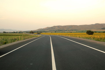Empty road surrounded with fields; travel, nature and infrastructure concept.