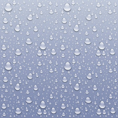 vector Drops of water on a grey background art