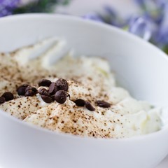 Sour cream mousse dessert sprinkled with chocolate and chocolate chips. Detail close up into a white bowl