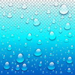 Realistic vector water drops transparent blue background. Clean drop condensation illustration