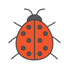Ladybug color icon