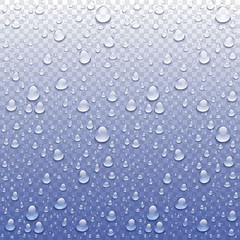 Vector Photo Realistic Image Of Raindrops Or Vapor Trough Window Glass