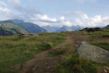 beautiful mountain glade