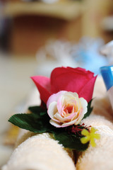 The Blurry Peach Little Flower