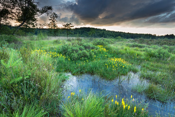 stormy sky over moorland and river