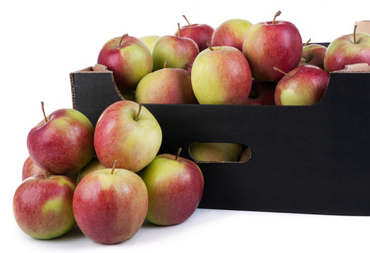 Box of Ready To Sale Ligol Apples Isolated  On White Background