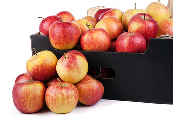 Box of Ready To Sale Rubin Apples Isolated  On White Background