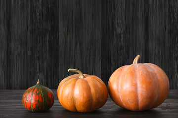 Pumpkins on black wood background with copy space