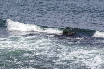 Ocean wave curling in Beavertail Rhode Island