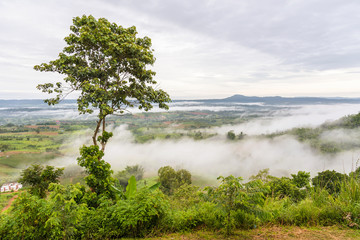 Fototapeta na wymiar Landscape misty,Fantastic dreamy sunrise on the mountains, Mountain with mist cloud at Khao Kho Phetchabun Thailand