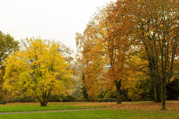 Park im Herbst