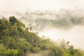 Landscape misty,Fantastic dreamy sunrise on the mountains, Mountain with mist cloud at Khao Kho Phetchabun Thailand