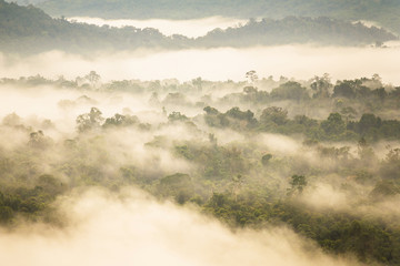 Landscape misty,Fantastic dreamy sunrise on the mountains, Mountain with mist cloud at Khao Kho Phetchabun Thailand