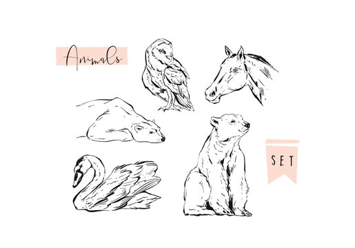 Hand drawn vector abstract graphic animals set collection of swan,polar bear,horse and owl ink brush painted isolated on white background.