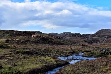 Highlands landscape in Scotland
