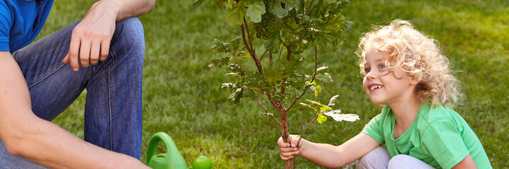 Smiling boy holding tree seedling