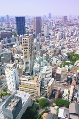 Fototapeta premium Tokyo aerial view