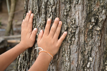 Hand touch the tree