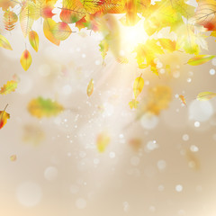 Fototapeta na wymiar Autumn abstract background. EPS 10 vector
