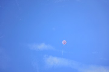 ballonn in sky