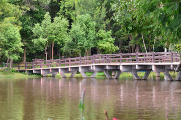 Fototapeta na wymiar bridge across the lake