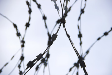 Twisted barbed wire