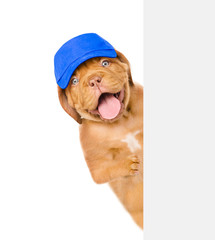 Dog in hat laborer behind white banner. isolated on white background