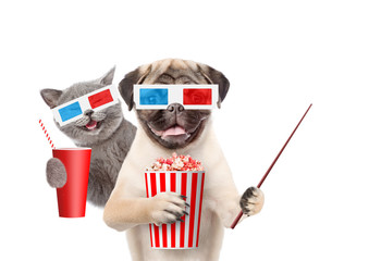 Funny kitten and puppy in the 3d glasses with popcorn basket and cola holding pointing stick. isolated on white background