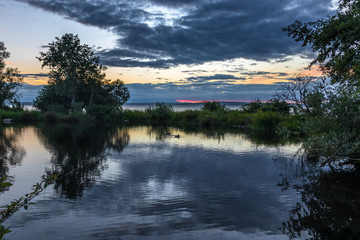 Duck Pond Reflections