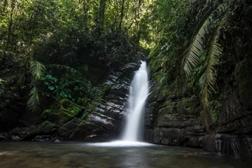 Fototapeten Wasserfall nahe Salente, Zona Cafetera, Kolumbien © schame87