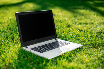 Laptop with blank screen on green lawn