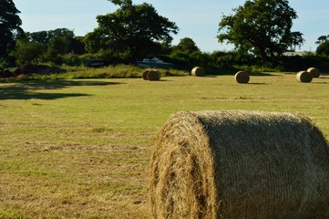 Close up of hay bale with abandoned cabin cruiser boat in the background.