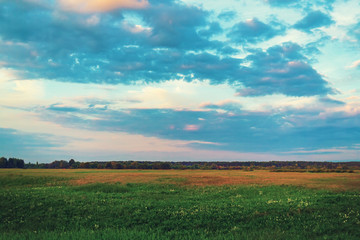 Fototapeta na wymiar Evening in the countryside. Scenic rural landscape. Sky with clouds and meadow with green grass. Toned image.