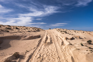 Fototapeta na wymiar A dirt road in the sand desert