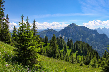 Scenes of Alpine vistas and meadows 
