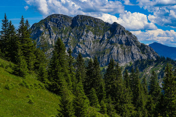 Scenes of Alpine vistas and meadows 