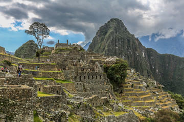 Terrassen in Machu Picchu © Klaus Eppele