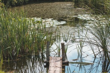 Sun lighted wooden flap