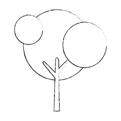 Tree nature ecology icon vector illustration graphic design