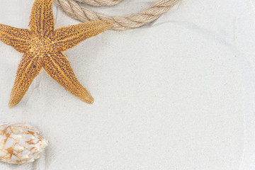 sea vacations concept/starfish, rope and seashell  on white sand