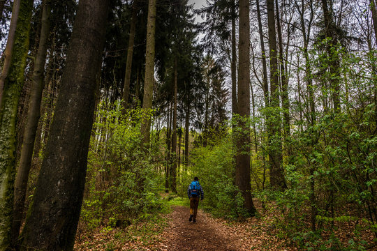 Wandern im Teutonurger Wald